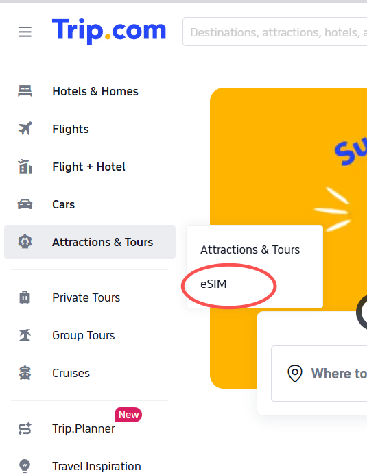 eSIM purchase option listed under the Attractions and Tours category